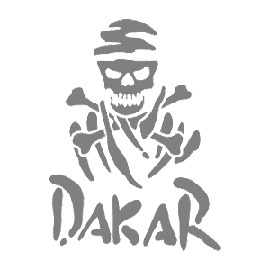  Dakar skeleton