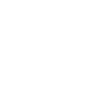    -   231 .