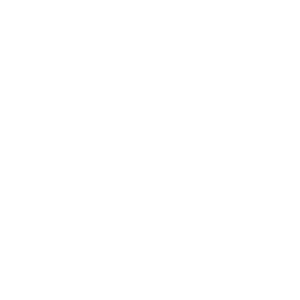      Haval -   82 .