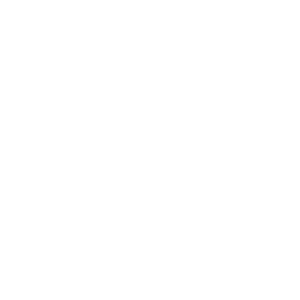       ,   ?! -   100 .