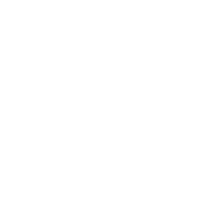    -   133 .
