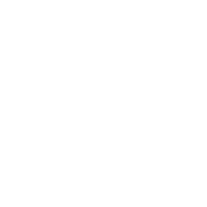      Haval  -   98 .