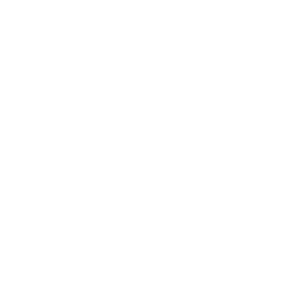        -   133 .