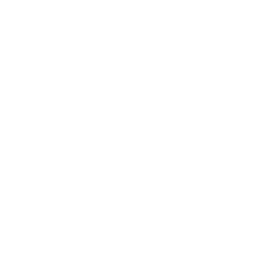        -   133 .