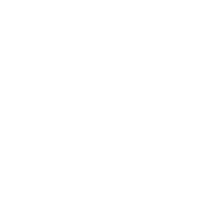      -   161 .