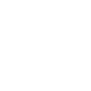         -   161 .