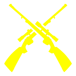        -   161 .