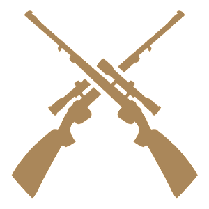    -    -   161 .