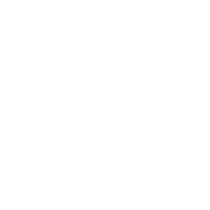        -   161 .