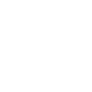      Mazda Speed -   98 .