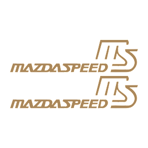 -  MazdaSpeed -   100 .
