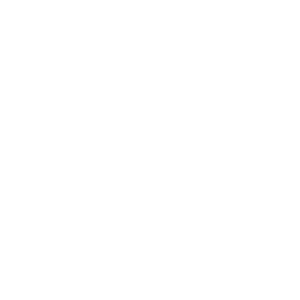        -   133 .