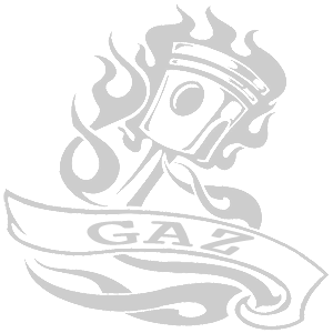 -  GAZ () -   187 .