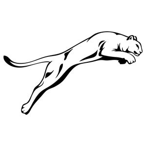         -   52 .