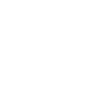    -   133 .