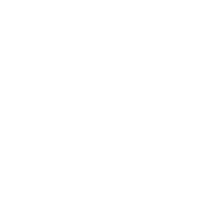           -   110 .