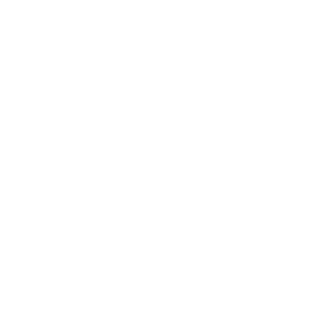   BMW motor performance -   187 .