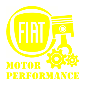   Fiat motor performance -   187 .