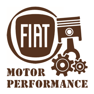   Fiat motor performance -   187 .