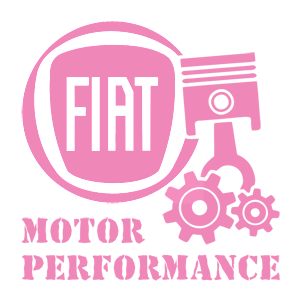   Fiat motor performance -   187 .