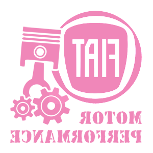      Fiat motor performance -   187 .