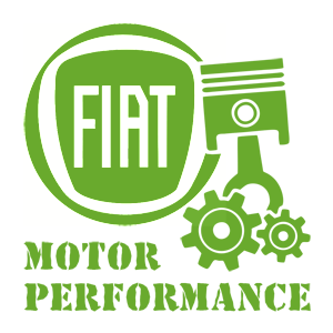 -  Fiat motor performance -   187 .