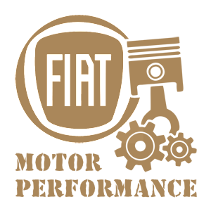 -  Fiat motor performance -   187 .