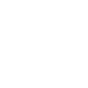      Fiat motor performance -   187 .