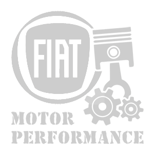 -  Fiat motor performance -   187 .