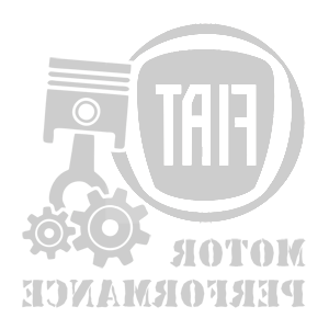      Fiat motor performance -   187 .