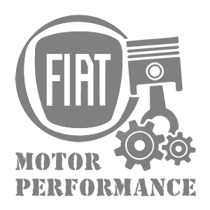   Fiat motor performance -   187 .