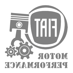      Fiat motor performance -   187 .