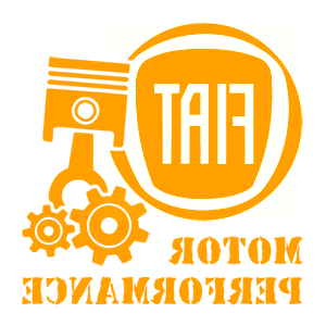      Fiat motor performance -   187 .