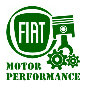   Fiat motor performance -   187 .