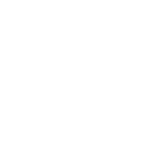      Honda motor performance -   187 .
