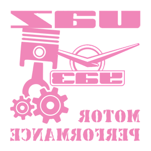      UAZ motor performance -   187 .