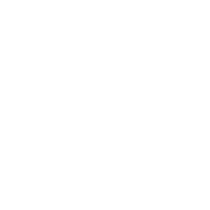      UAZ motor performance -   187 .
