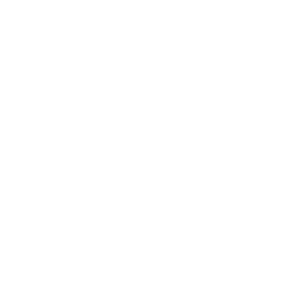     Lada motor performance -   187 .