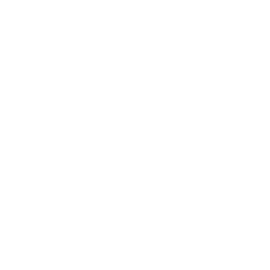      GAZ motor performance -   187 .