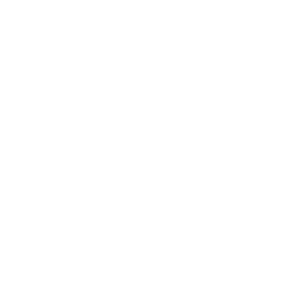      Hyundai motor performance -   187 .