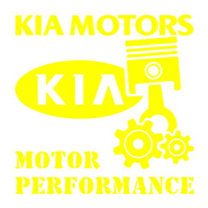   KIA motor performance -   187 .