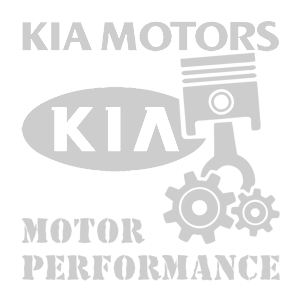 -  KIA motor performance -   187 .
