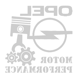    -  Opel motor performance -   187 .