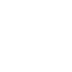  Renault motor performance