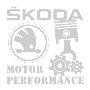  Skoda motor performance