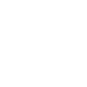  VolksWagen logo