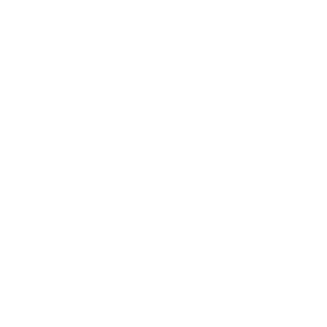    -   133 .