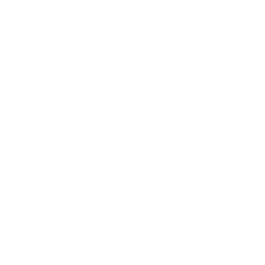  Performance Part
