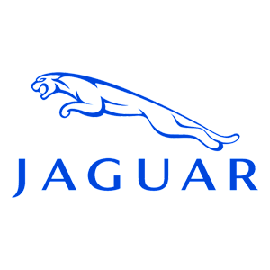   Jaguar -   100 .