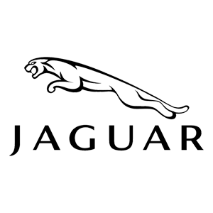   Jaguar -   100 .